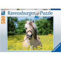 Ravensburger puzzle horse 500